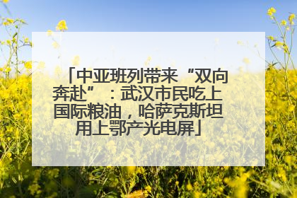 中亚班列带来“双向奔赴”：武汉市民吃上国际粮油，哈萨克斯坦用上鄂产光电屏