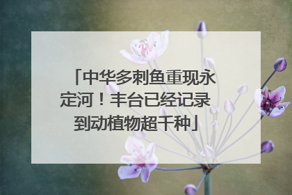 中华多刺鱼重现永定河！丰台已经记录到动植物超千种