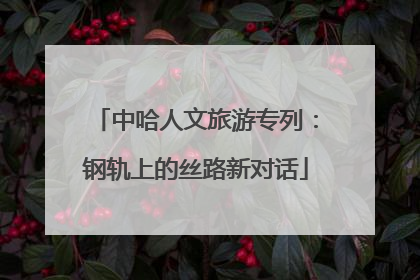 中哈人文旅游专列：钢轨上的丝路新对话