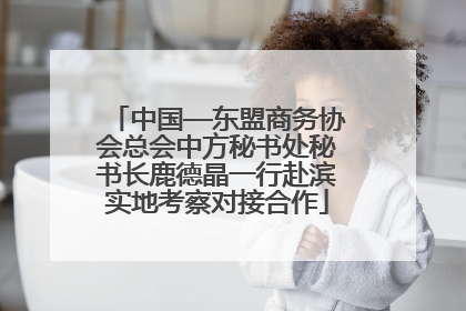 中国—东盟商务协会总会中方秘书处秘书长鹿德晶一行赴滨实地考察对接合作