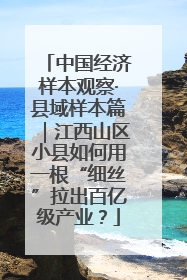 中国经济样本观察·县域样本篇｜江西山区小县如何用一根“细丝”拉出百亿级产业？