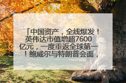 中国资产，全线爆发！英伟达市值增超7600亿元，一度重返全球第一！鲍威尔与特朗普会面，他们聊了什么？