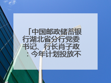 中国邮政储蓄银行湖北省分行党委书记、行长肖子政：今年计划投放不少于2000亿元支持支点建设