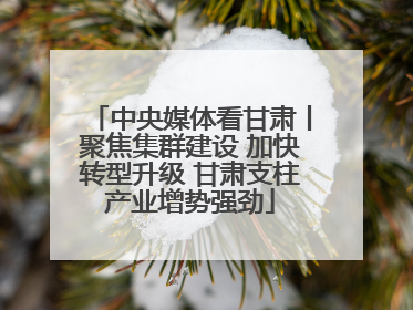 中央媒体看甘肃丨聚焦集群建设 加快转型升级 甘肃支柱产业增势强劲