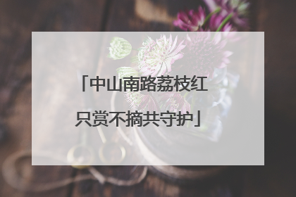 中山南路荔枝红 只赏不摘共守护