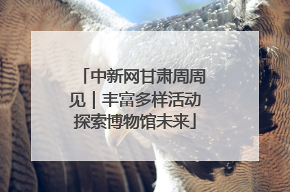 中新网甘肃周周见｜丰富多样活动探索博物馆未来