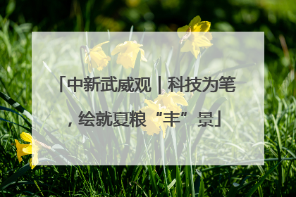 中新武威观｜科技为笔，绘就夏粮“丰”景