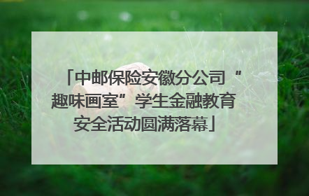 中邮保险安徽分公司“趣味画室”学生金融教育安全活动圆满落幕