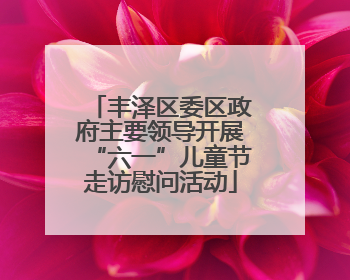 丰泽区委区政府主要领导开展“六一”儿童节走访慰问活动