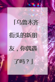 乌鲁木齐街头的新朋友，你偶遇了吗？