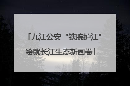 九江公安“铁腕护江”绘就长江生态新画卷