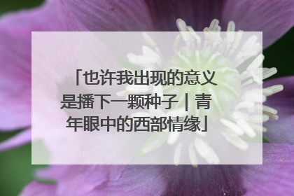 也许我出现的意义是播下一颗种子｜青年眼中的西部情缘