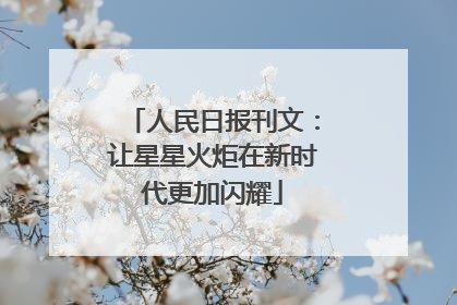 人民日报刊文：让星星火炬在新时代更加闪耀