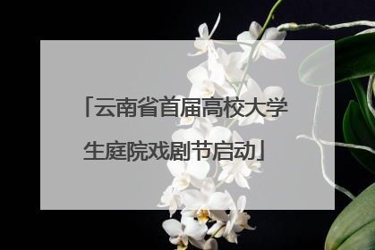云南省首届高校大学生庭院戏剧节启动