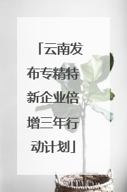 云南发布专精特新企业倍增三年行动计划