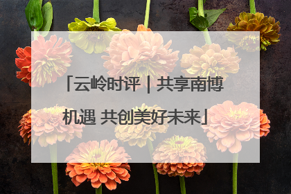 云岭时评｜共享南博机遇 共创美好未来