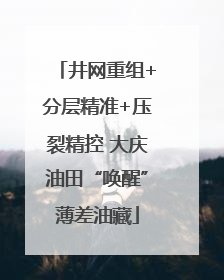 井网重组+分层精准+压裂精控 大庆油田“唤醒”薄差油藏