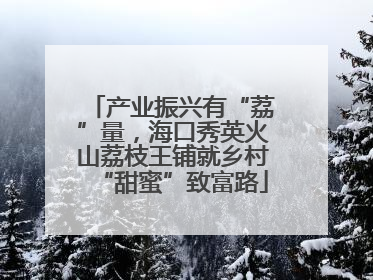 产业振兴有“荔”量，海口秀英火山荔枝王铺就乡村“甜蜜”致富路