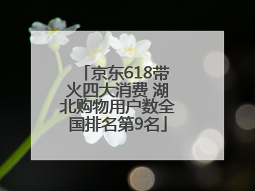 京东618带火四大消费 湖北购物用户数全国排名第9名