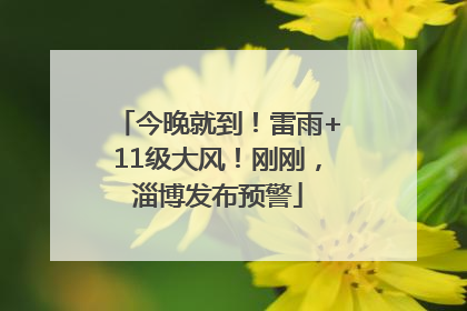 今晚就到！雷雨+11级大风！刚刚，淄博发布预警