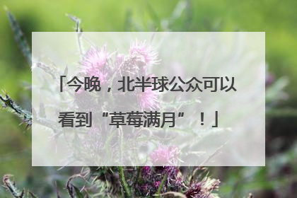 今晚，北半球公众可以看到“草莓满月”！