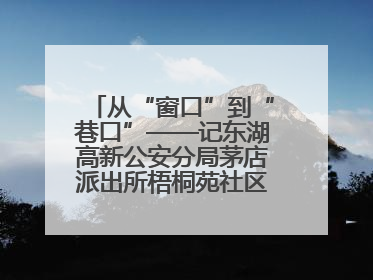 从“窗口”到“巷口”——记东湖高新公安分局茅店派出所梧桐苑社区民警樊艳玲