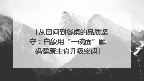 从田间到餐桌的品质坚守：白象用“一碗面”解码健康主食升级密码