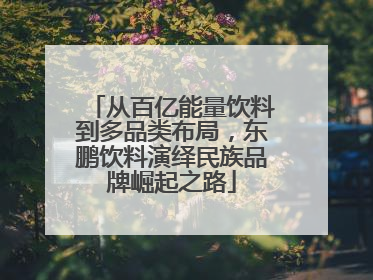 从百亿能量饮料到多品类布局，东鹏饮料演绎民族品牌崛起之路