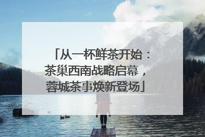 从一杯鲜茶开始：茶巢西南战略启幕，蓉城茶事焕新登场