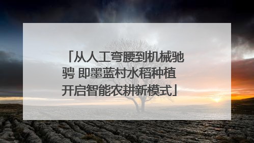 从人工弯腰到机械驰骋 即墨蓝村水稻种植开启智能农耕新模式