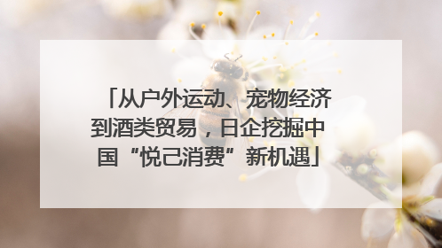 从户外运动、宠物经济到酒类贸易，日企挖掘中国“悦己消费”新机遇