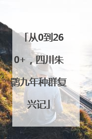 从0到260+，四川朱鹮九年种群复兴记