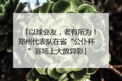以球会友，老有所为！郑州代表队在省“公仆杯”赛场上大放异彩
