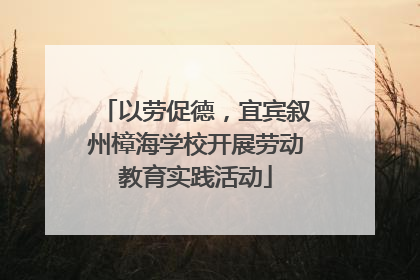以劳促德，宜宾叙州樟海学校开展劳动教育实践活动