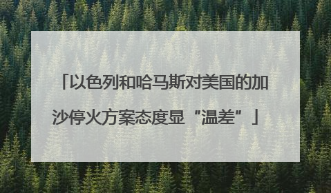 以色列和哈马斯对美国的加沙停火方案态度显“温差”