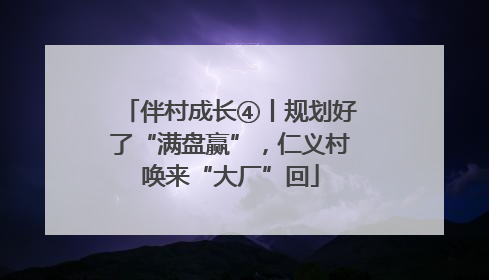 伴村成长④丨规划好了“满盘赢”，仁义村唤来“大厂”回
