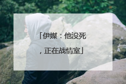 伊媒：他没死，正在战情室