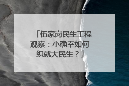 伍家岗民生工程观察：小确幸如何织就大民生？