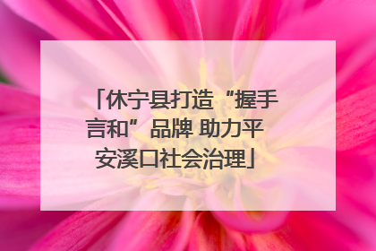 休宁县打造“握手言和”品牌 助力平安溪口社会治理