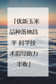 优新玉米品种落地昌平 科学技术指导助力丰收