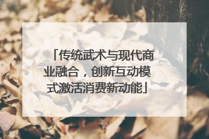 传统武术与现代商业融合，创新互动模式激活消费新动能