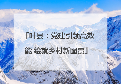 叶县：党建引领高效能 绘就乡村新图景