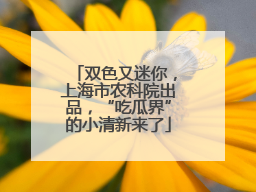 双色又迷你，上海市农科院出品，“吃瓜界”的小清新来了
