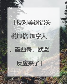 反对美钢铝关税加倍 加拿大、墨西哥、欧盟反应来了