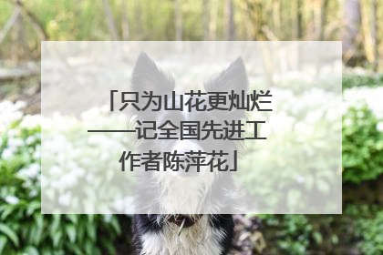 只为山花更灿烂——记全国先进工作者陈萍花