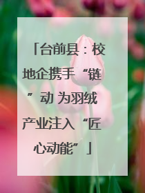 台前县：校地企携手“链”动 为羽绒产业注入“匠心动能”