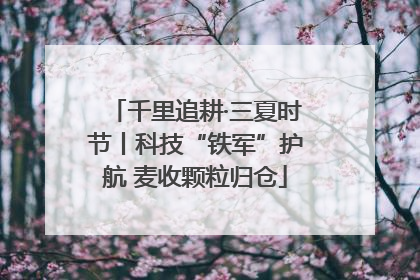千里追耕·三夏时节丨科技“铁军”护航 麦收颗粒归仓