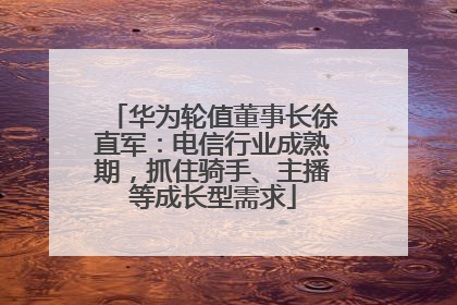华为轮值董事长徐直军：电信行业成熟期，抓住骑手、主播等成长型需求