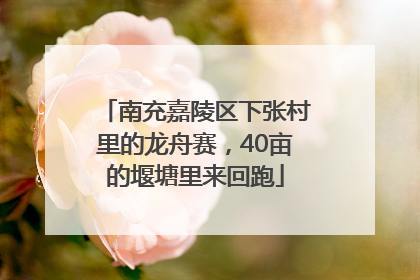 南充嘉陵区下张村里的龙舟赛，40亩的堰塘里来回跑