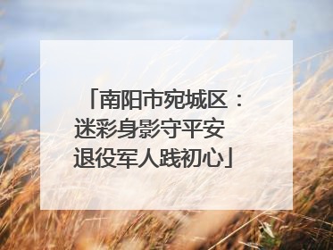 南阳市宛城区：迷彩身影守平安 退役军人践初心